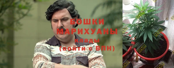 молекула духа Нея