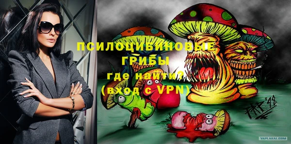 сатива Нефтекумск