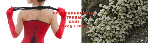 не бодяженный Нефтегорск