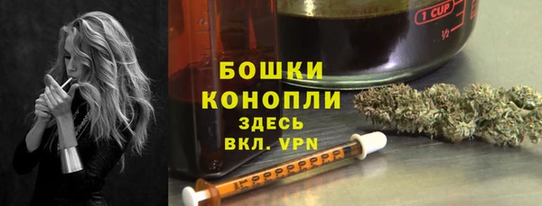 молекула духа Нея