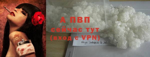 сатива Нефтекумск
