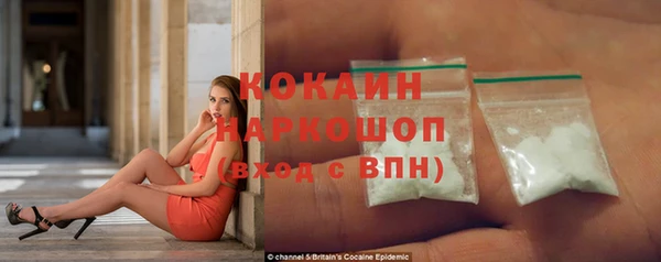 сатива Нефтекумск