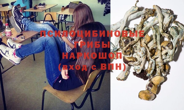 сатива Нефтекумск