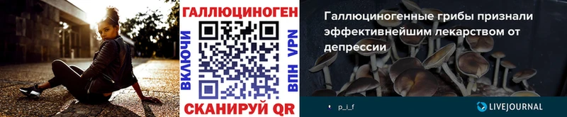 мега ссылка  Ртищево  Галлюциногенные грибы Cubensis 